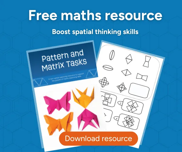 Pattern and Matrix Tasks Maths Resource
